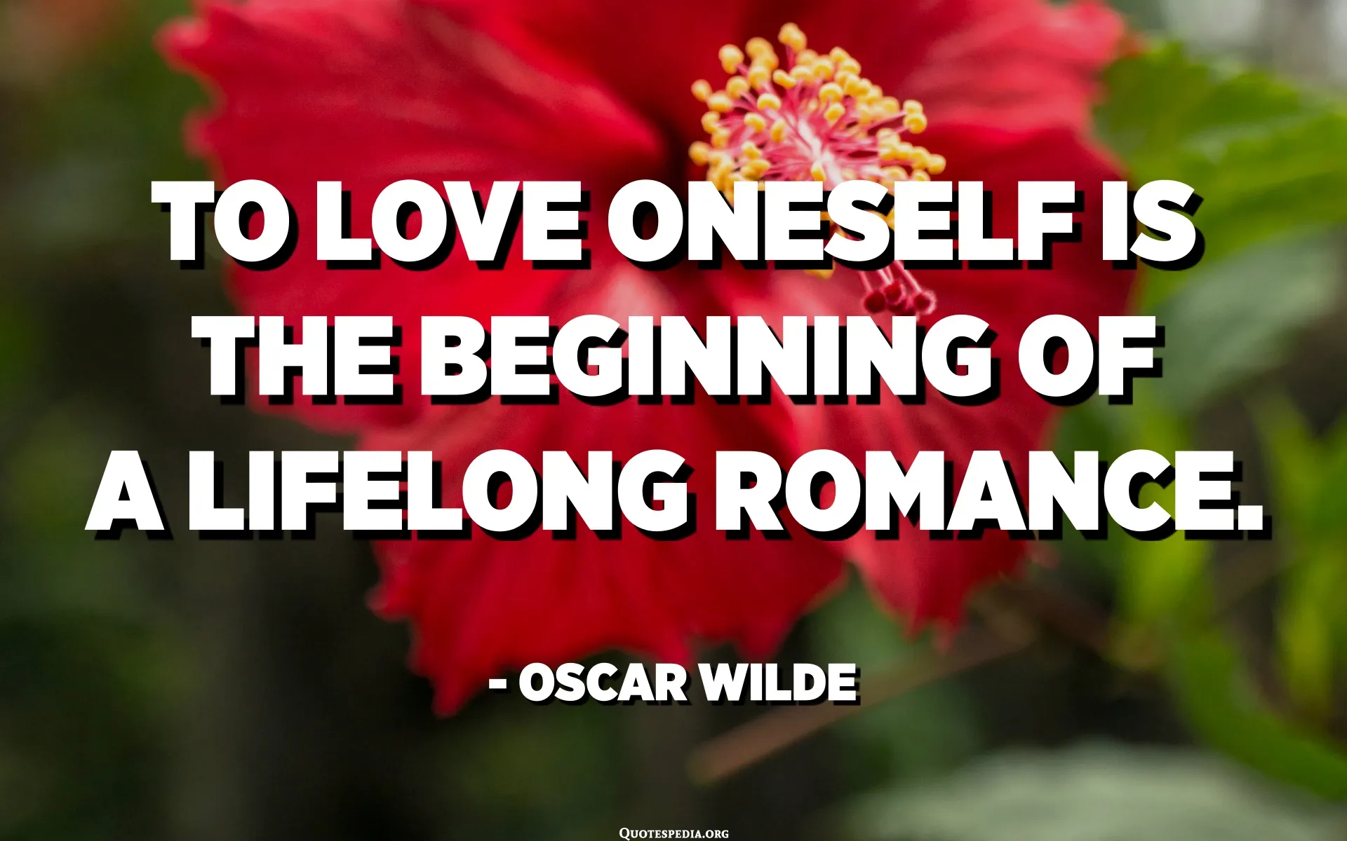 To love oneself is the beginning of a lifelong romance